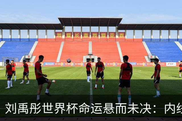 刘禹彤世界杯命运悬而未决：内线竞争白热化，功能互补成关键