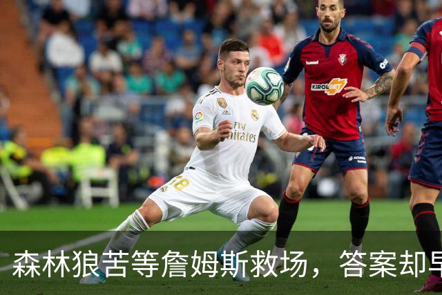 森林狼苦等詹姆斯救场，答案却早已身披5号