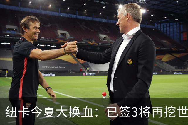 纽卡今夏大换血：已签3将再挖世界杯国脚，托纳利替身浮现